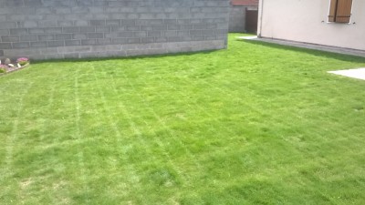 WP_20160609_005.jpg