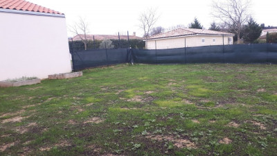 20201227_153015.jpg