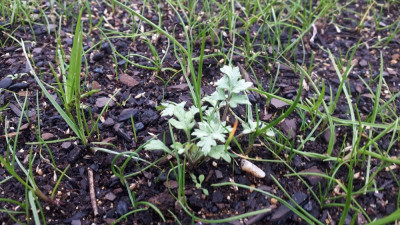 20201227_153034.jpg
