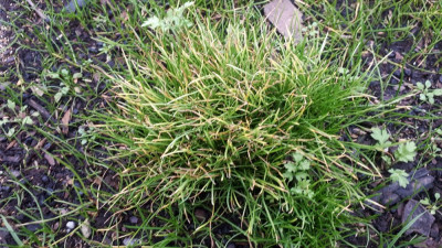 20201227_153114.jpg