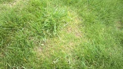 WP_20160610_002.jpg