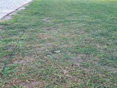 20210313_093113.jpg