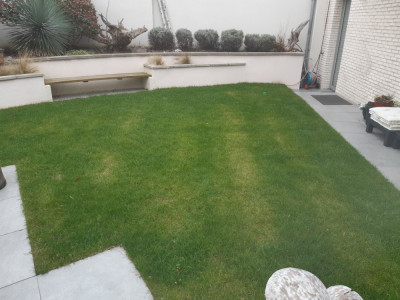 20210317_gazon.jpg