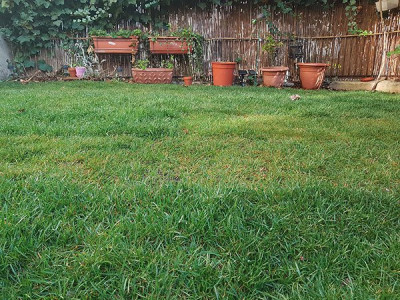 20210330_092827-2.jpg