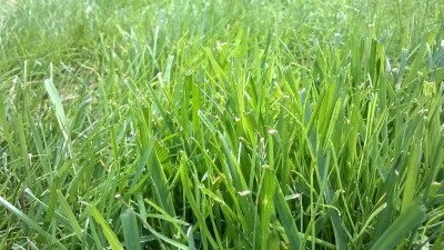 WP_20160610_007.jpg