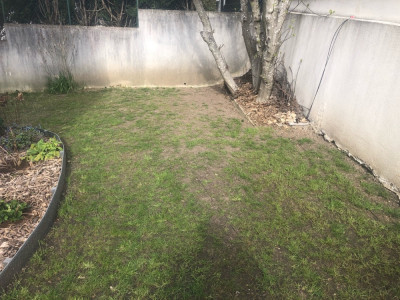 Zone dégarnie coté rue sous figuier