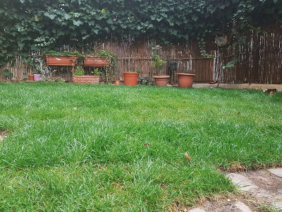 20210405_113028.jpg