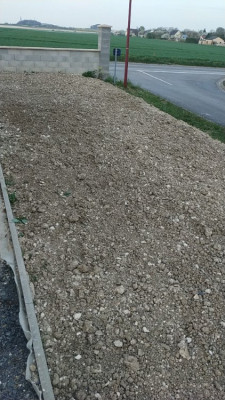 IMG_20200408_192741_02.jpg