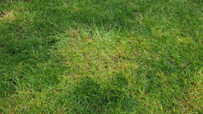 20210410_175804.jpg