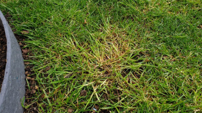 20210410_175800.jpg