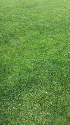 20160615_155503.jpg
