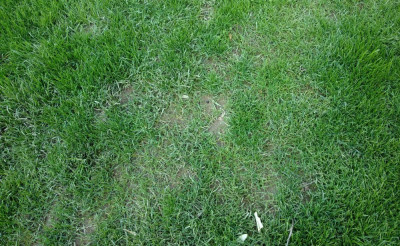 4_3307.jpg