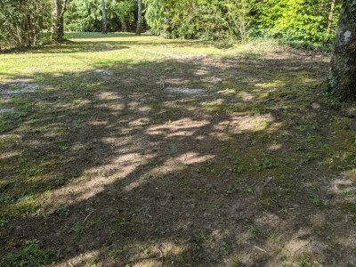 PXL_20210419_152611167.jpg