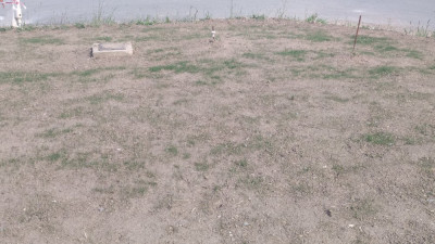 P_20210421_171246_vHDR_On.jpg