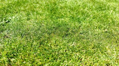 20210425_142319.jpg