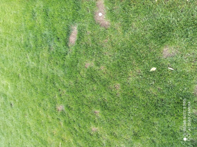 1620149811364.jpg
