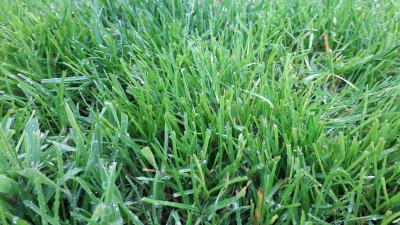 20160620_194828.jpg