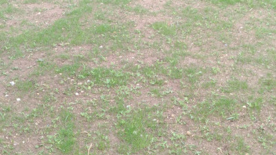 P_20210507_145235_vHDR_On.jpg