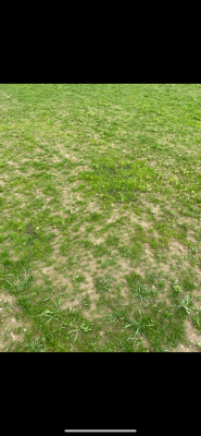 203033D7-3AAC-4450-BA46-93E335634503.png