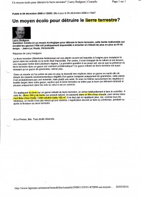 Suppression lierre terrestre dans gazon_0003.jpg