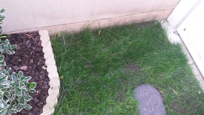 20160622_191552.jpg
