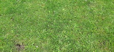 20210529_090456.jpg