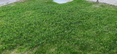 IMG_20210601_210056.jpg