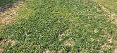 IMG_20210608_183408.jpg