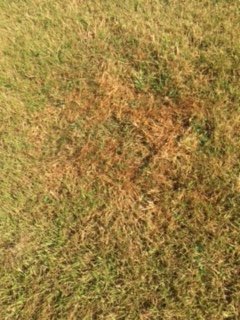 thumbnail_IMG_6549.jpeg