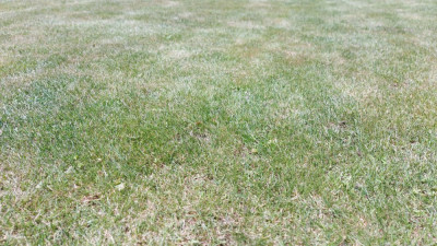 20210613_143006.jpg