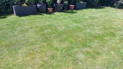 20210613_143112.jpg