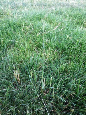 20210616_064111.jpg