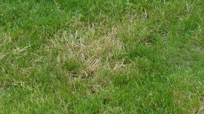 20160626_144022.jpg