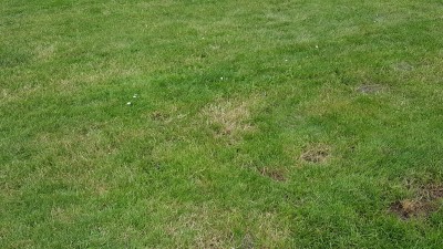 20160626_144032.jpg