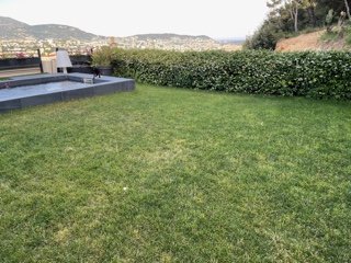 IMG_0002.jpeg