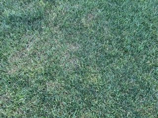 IMG_0005.jpeg