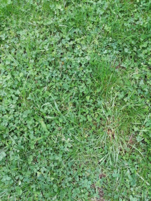 IMG-20210623-201825.jpg