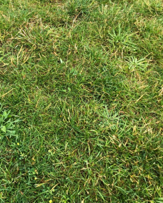 920A6275-2F5C-4DE1-B89B-EA558E66FE8E.jpeg