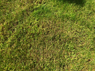 D78CABED-C238-44DA-8232-1A1291742CE3.jpeg