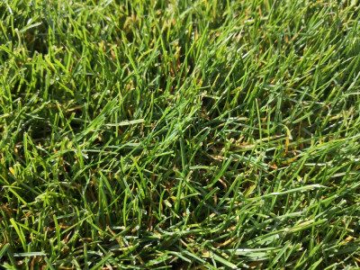 IMG_20211007_105925.jpg