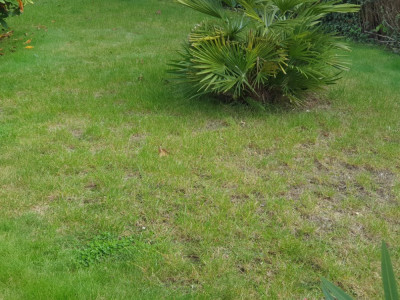 20211013_124927.jpg