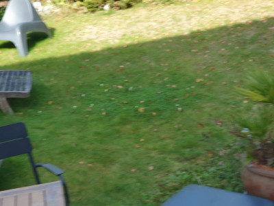 20211013_125331.jpg