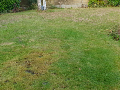 20211013_183117.jpg