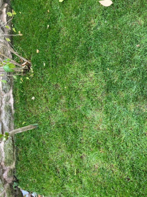34243B40-9220-49ED-A501-12901DF90772.jpeg