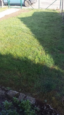 Pas mal de trou et mousses en bas j'hésite à la refaire entièrement plutôt que de scarifier ?