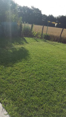 20160706_084506.jpg