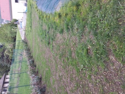 20150428_182513.jpg