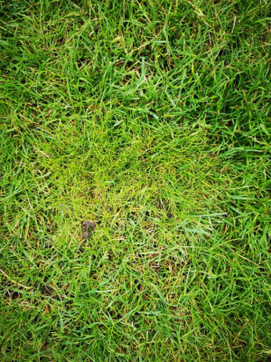 IMG_20220501_110654.jpg