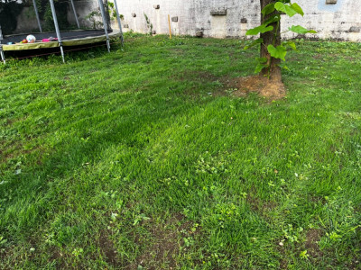 Vue de la 2ème partie plus ombragée