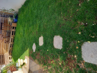 20220601_191718.jpg